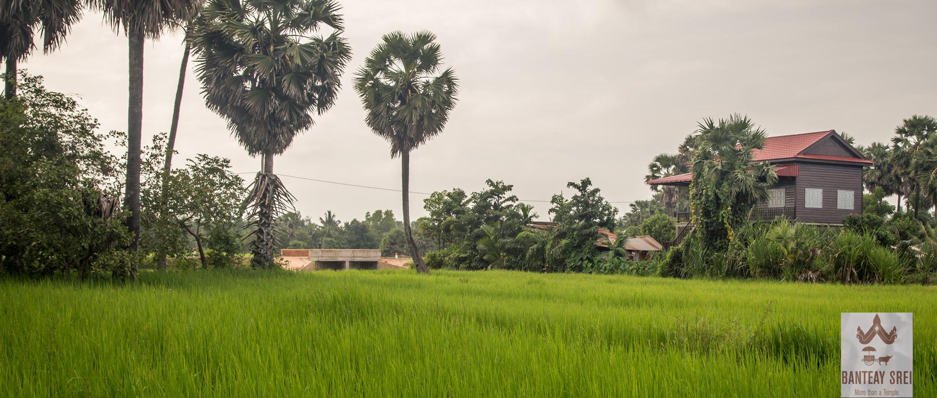 Banteay-Srei-Slide-Show-1.jpg